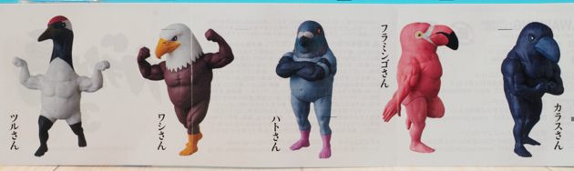 屈強な鳥さんたちが再集結！カプセルトイ「ガチムチ鳥」に新色が