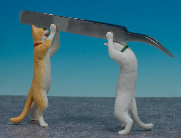 真剣白刃取りする猫～ペン置けました～｜ガシャポンオフィシャル