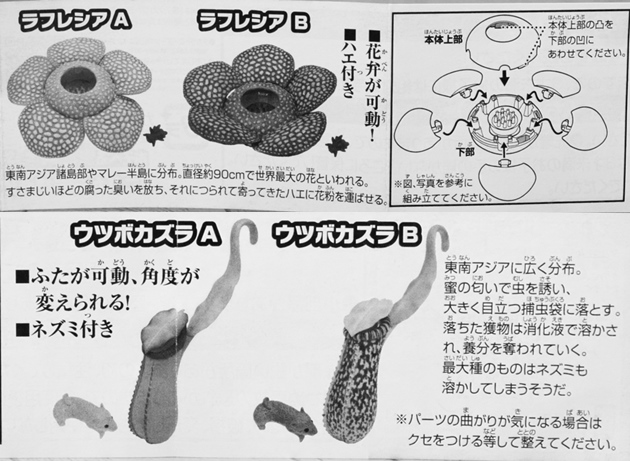 レビュー タカラトミーアーツ カプセルトイ 巨大花と食虫植物 ふぃぎゅる