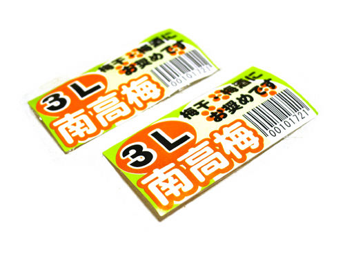 イメージ 10