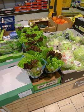 イメージ 11