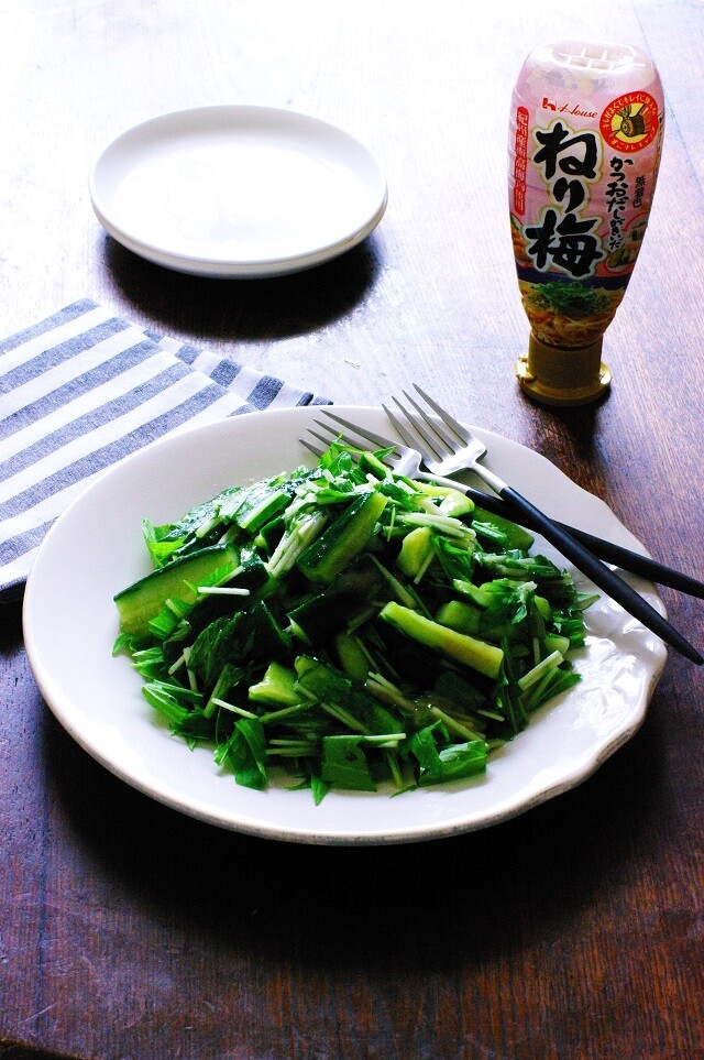 キッチンバサミで切って和えるだけでお手軽簡単に完成 水菜ときゅうりのねり梅和えサラダ 水菜 きゅうり スパイス ねり梅 サラダ スパイスアンバサダー 19 レシピ37 のんびり毎日 日々の暮らしの食卓 いただきますのレシピ 時々 編み物 キッチンバサミで切って和えるだけでお手軽簡単に完成 水菜ときゅうりのねり梅和えサラダ 水菜 きゅうり スパイス ねり梅 サラダ スパイスアンバサダー 19 レシピ37 のんびり毎日 日々の暮らしの食卓 いただきますのレシピ 時々 編み物