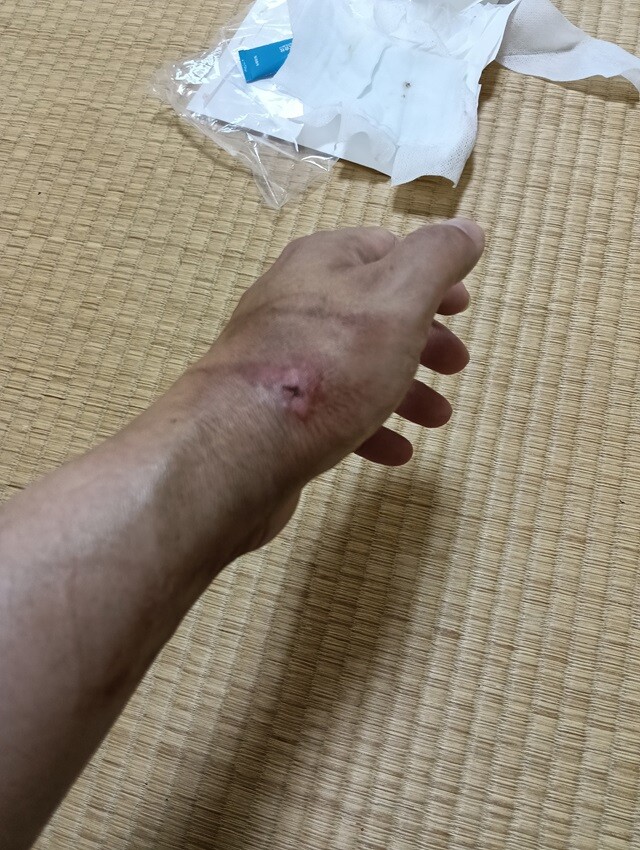 IMG20260628132312_640