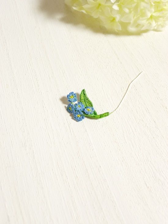 イメージ 7