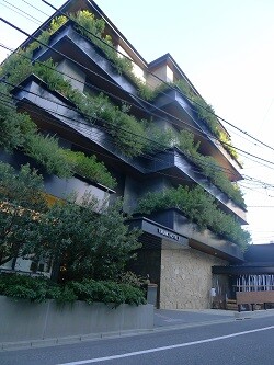 P3760068_250