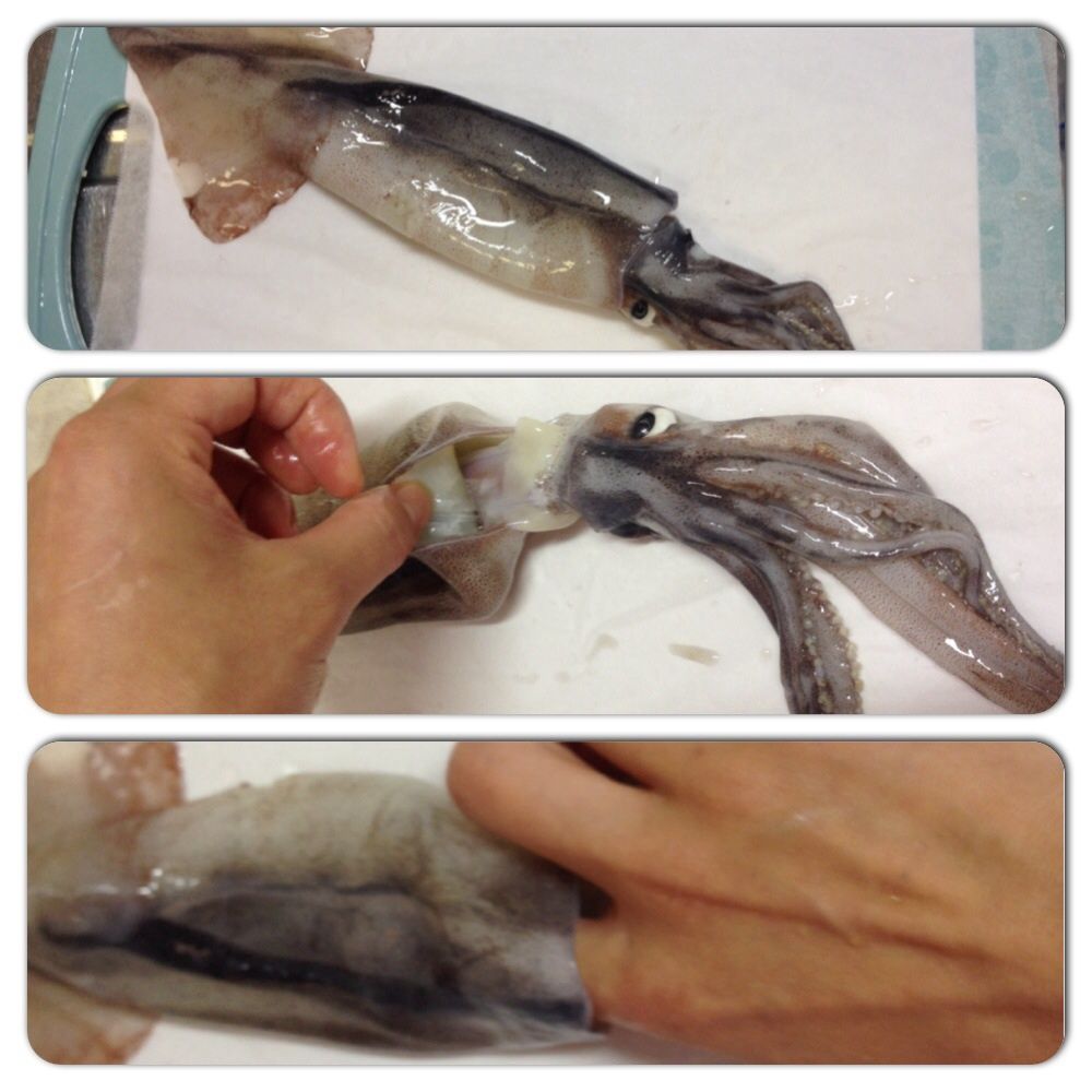 いかの解体 イカ 下ごしらえ 赤線跡 廃墟など アングラブログ