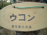 うこ
