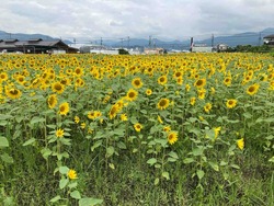 C6164390-272F-4D36-A116-07E4D5722204