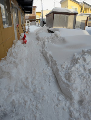 IMG_20251227_092452[1]