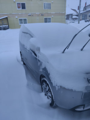 IMG_20260207_070542[1]