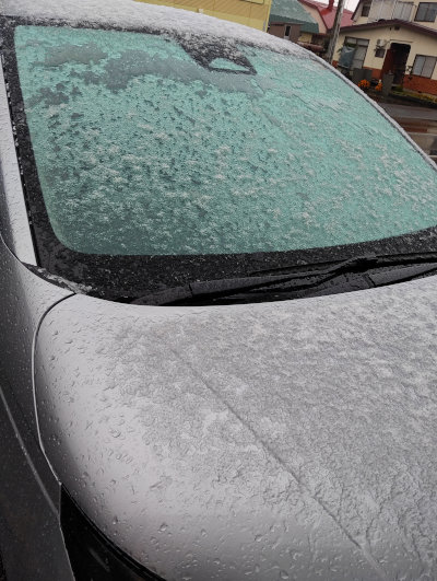 IMG_20251028_080007[1]