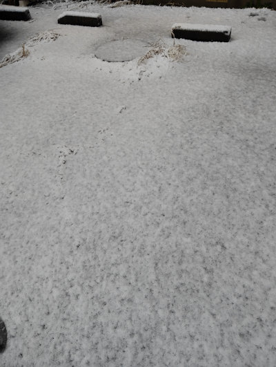 IMG_20251028_132935[1]