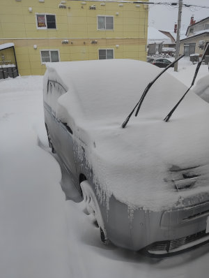 IMG_20251227_085624[1]