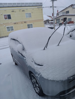 IMG_20251118_061959[1]