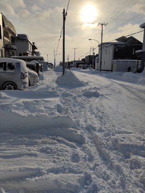 IMG_20251227_093413[1]