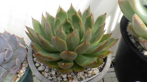 RIMG8740