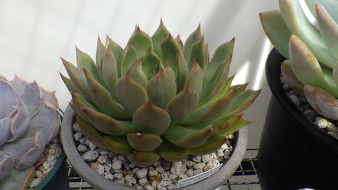 RIMG8742