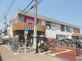 DSCN6252