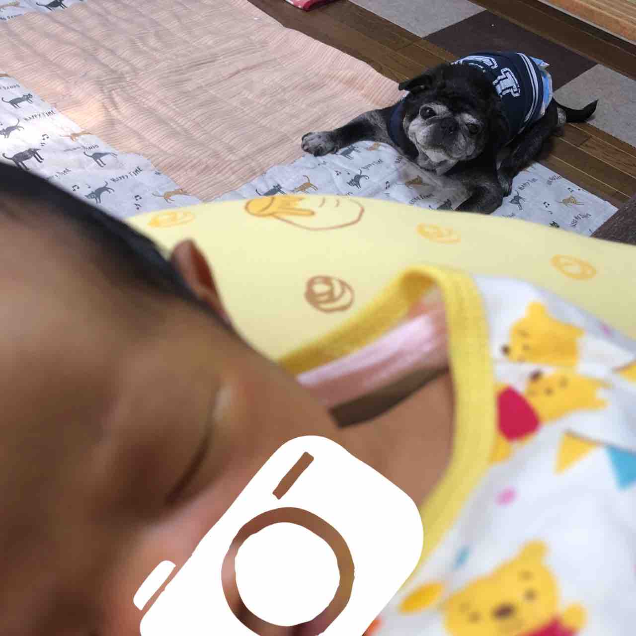童謡 迷子のこねこちゃん のぶよたべるよそだてるよ