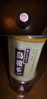 烏龍