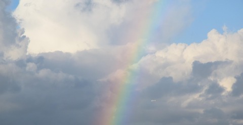 af0acc1fd9c814a977d301d77a78d0bd