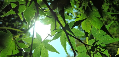 b76f813419118ffe3a6e201a15cb9d56