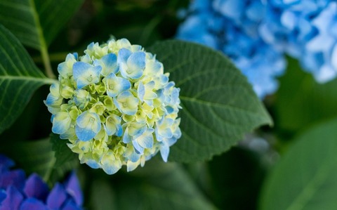 075975a792c972e5f604f653db25d0c3