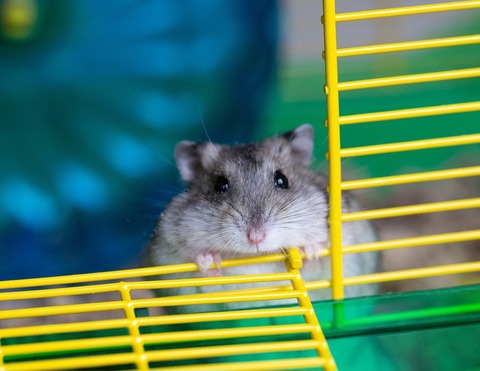 a196bb2194bd8246c72a20466220d0f6