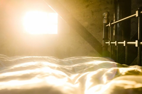 bed-3013209__480