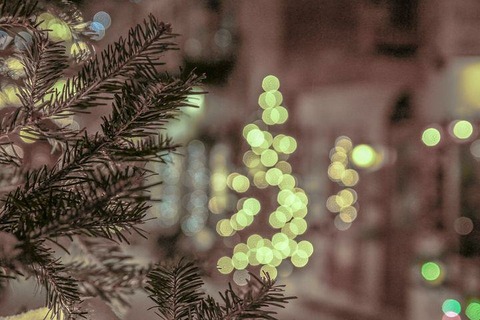 bokeh-1892847__480