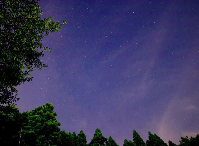 87D160CD-96C7-440E-8102-513D018BBB93