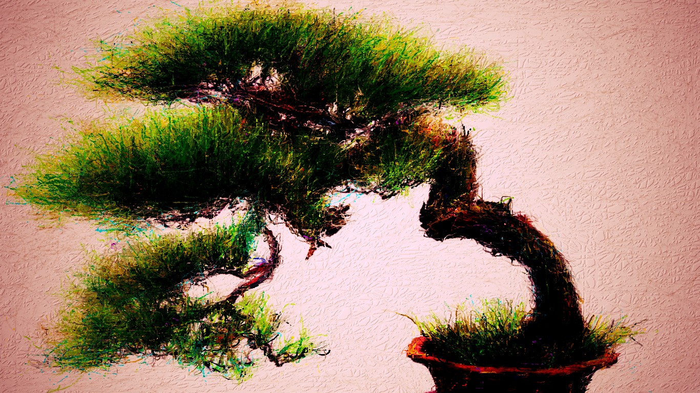 盆栽 : nodasantaのblog(イラストレーター)