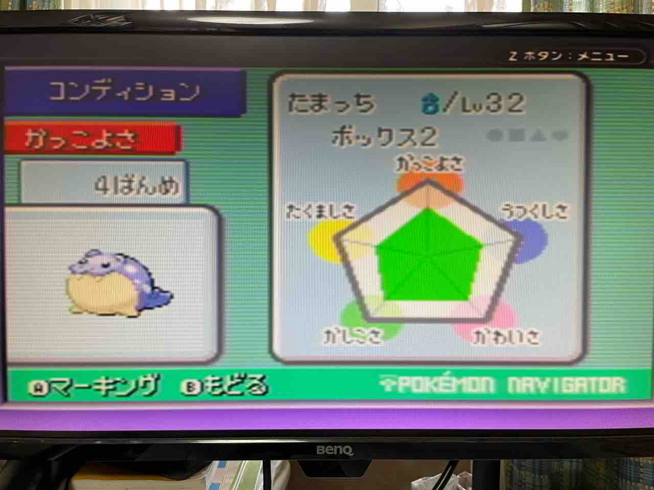 三世代のポロックとRSEのカセットが抱える問題について : がんばれデカ太郎