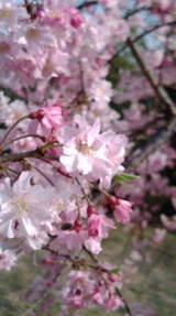 b3d86804.jpg