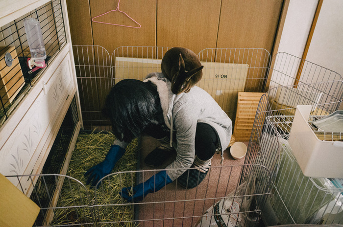 きれいにする人、汚すうさぎ