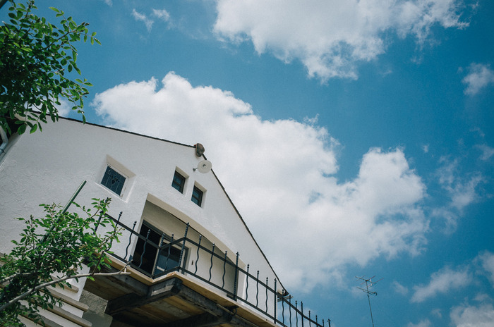 玄関前のシンボルツリーはオリーブの木に決定