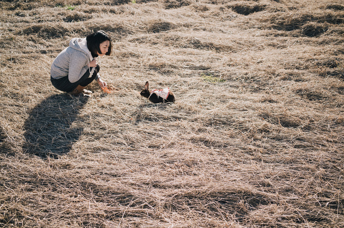 久しぶりのうさんぽ。セッコの庭にて。