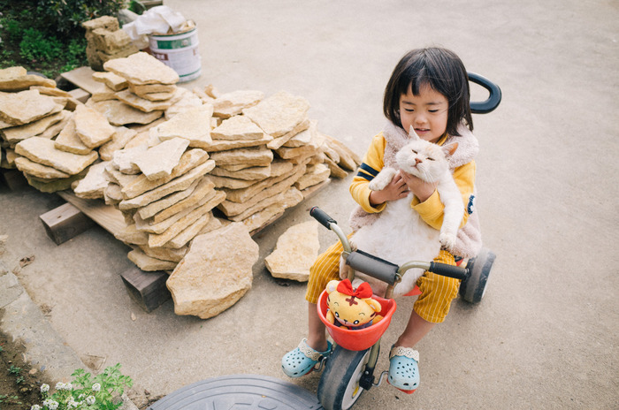 ノエルもシマも相変わらず元気です