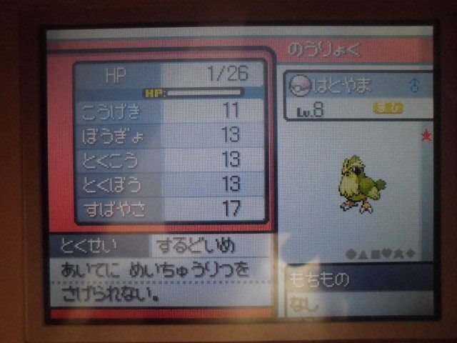 メガピジョット用色ポッポを捕獲完了 Noelのグラスフィールドwwwwwwwwwww メガピジョット用色ポッポを捕獲完了 Noelのグラスフィールドwwwwwwwwwww