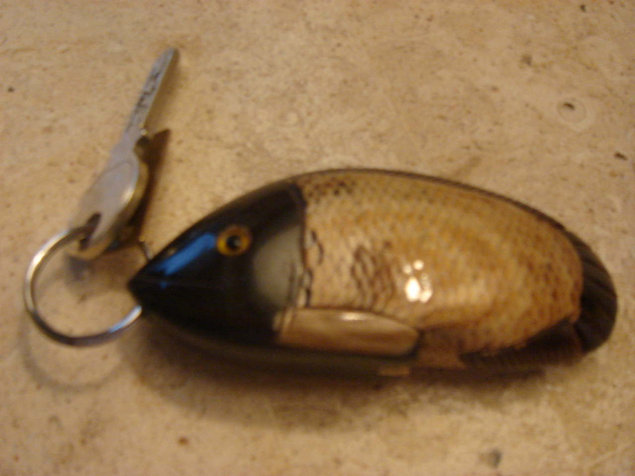 沖縄 番外編 ブセナテラスのお魚キーホルダー Noelと散歩 沖縄 番外編 ブセナテラスのお魚キーホルダー Noelと散歩