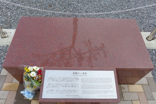 2014-11-02-14-02-38
