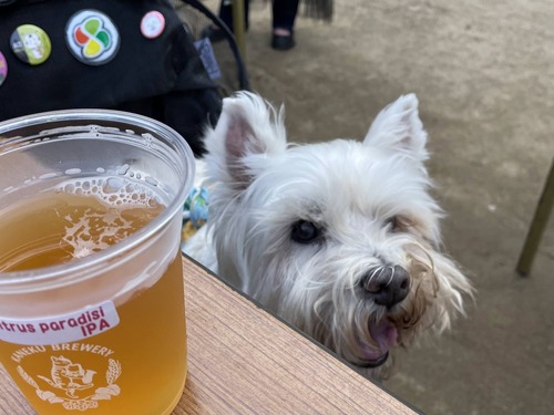 IMG_6653