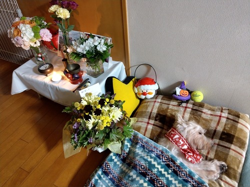 IMAG0062