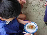 b8e79b26.jpg