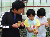 e057ef05.jpg