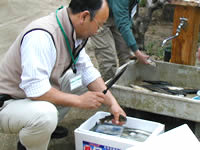 ����򤵤Ф�