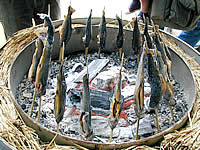 ����α��Ƥ�