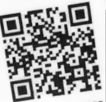 メラメライオンqr7