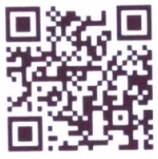 カブキロイドqr4