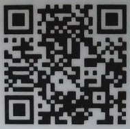 ブリー隊長qr9